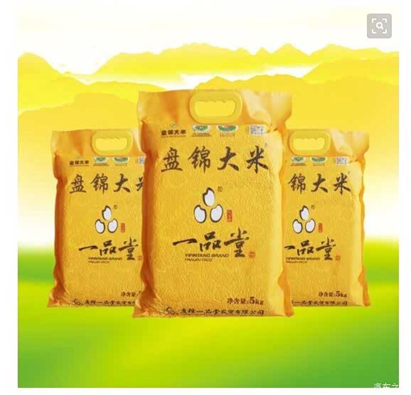 米香飘万家：哈尔滨大米的传奇与魅力
