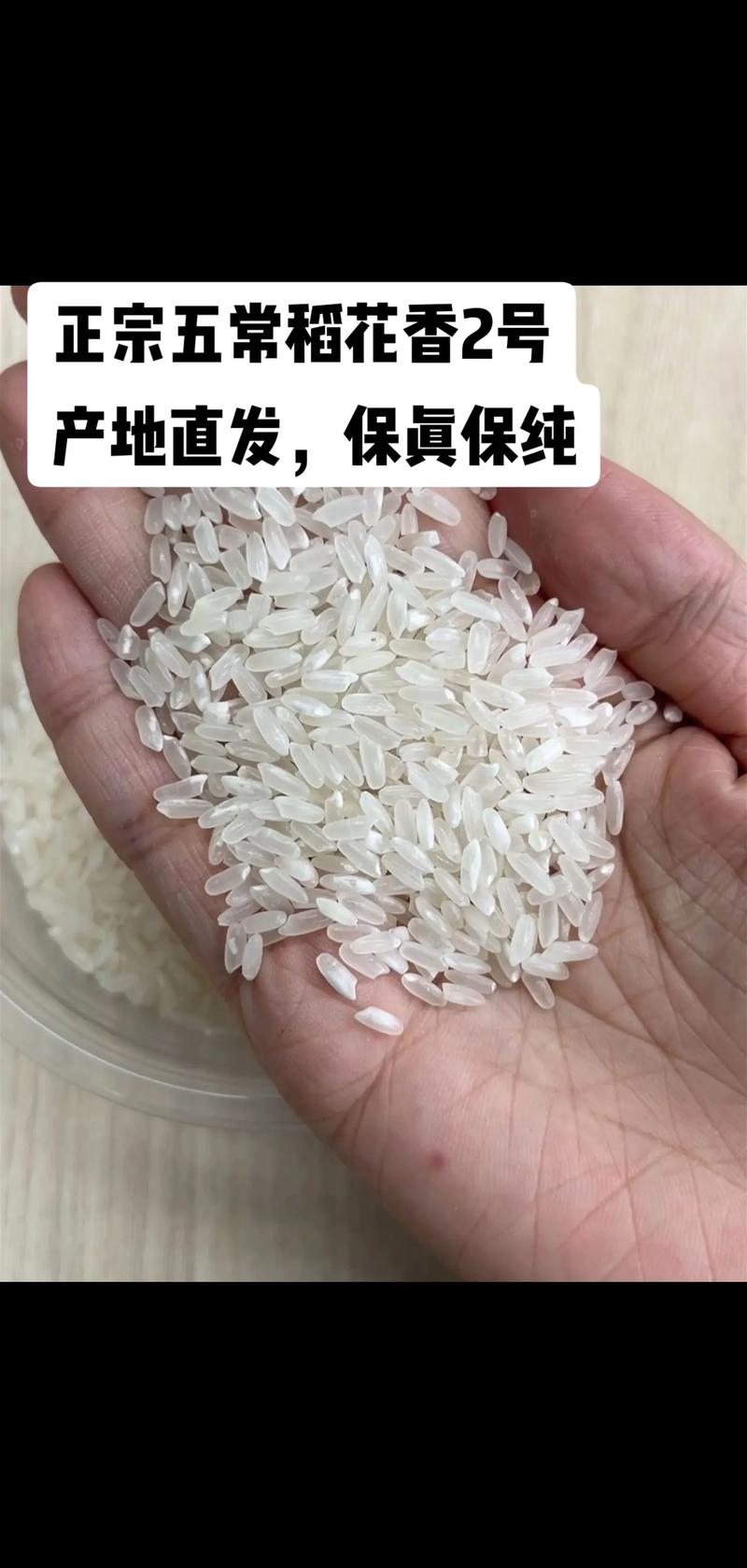 东北大米——优质粮食的力量