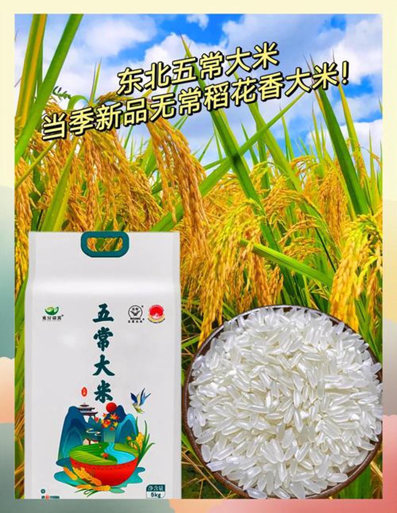 哈尔滨大米——舌尖上的绿色财富