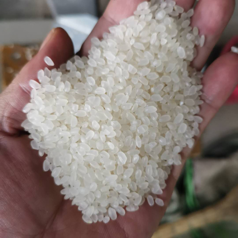 选购东北大米的实用指南